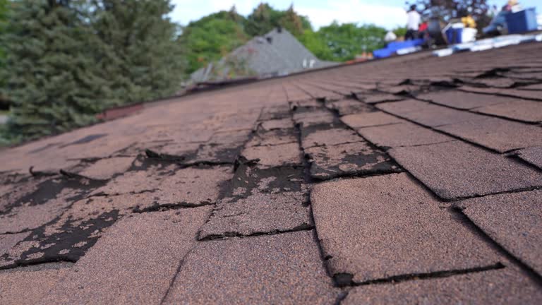 Best Asphalt Shingles Roofing  in Smithfield, UT